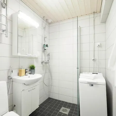 Kirkkokatu 10, Ilmainen Kadunvarsipysaekoeinti